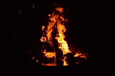 DSC_3858 (Large).JPG